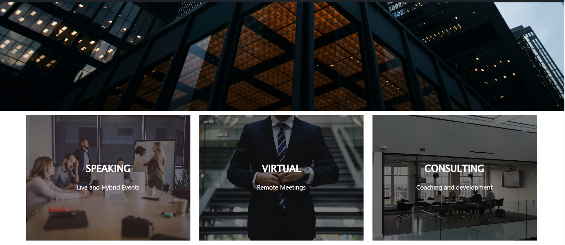 Project for Business Consultant A Demo website